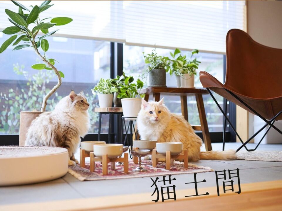 【長野市入居宅見学会】4匹の猫と寛ぐ、オーダーキッチンで叶える大人時間