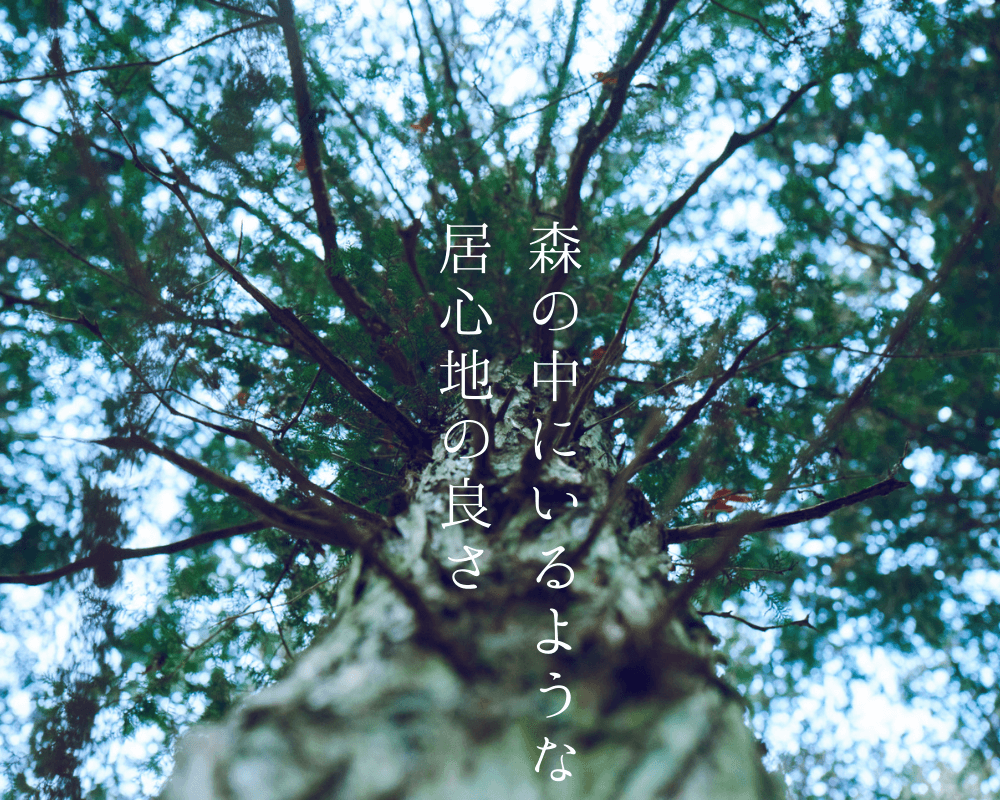 木と素材