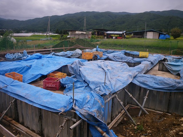 基礎養生中