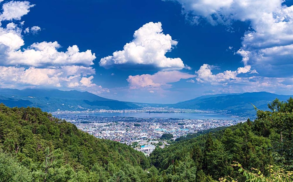 https://www.kobo-shinshu.com/form/20260725izyuu
