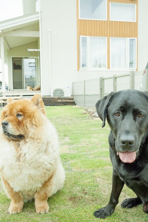 大型犬と暮らす土間リビングの家