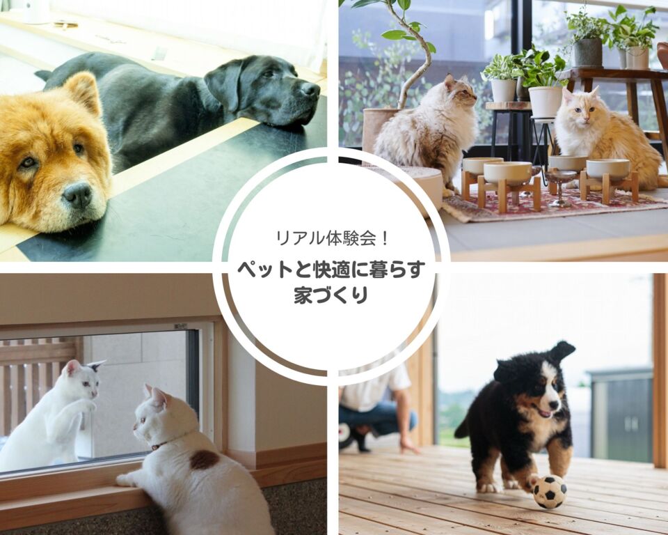 【体験会】ペットに優しい家はどっち？傷・ニオイ・滑り対策の『実験』&家づくり実例公開