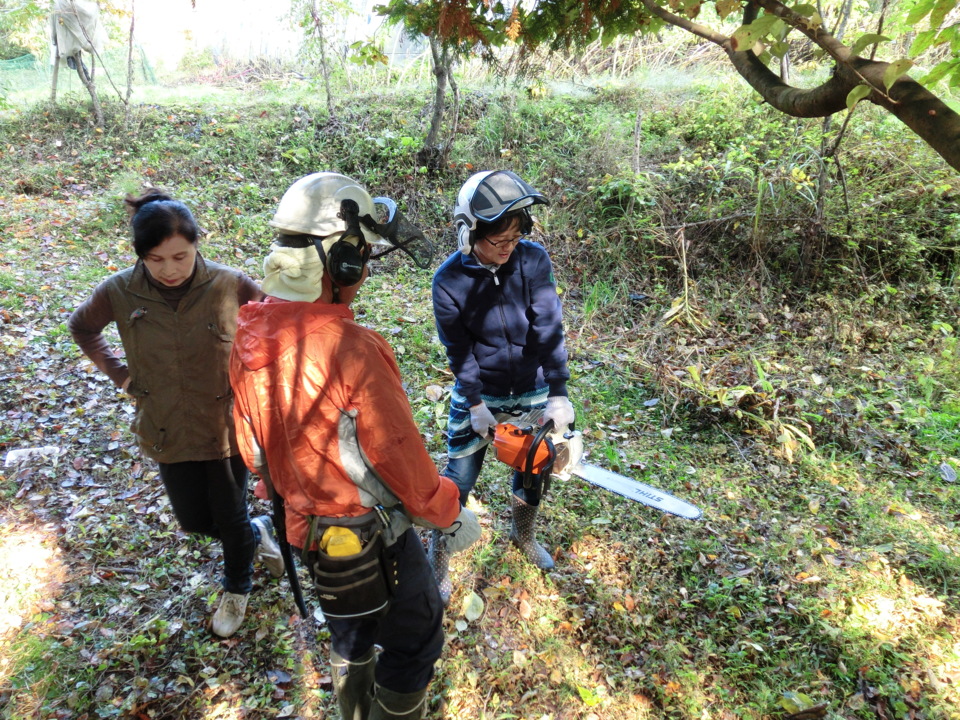 自山の木　伐採式