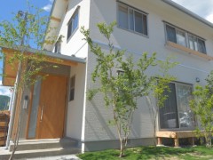 川辺の桜と向かい合う家