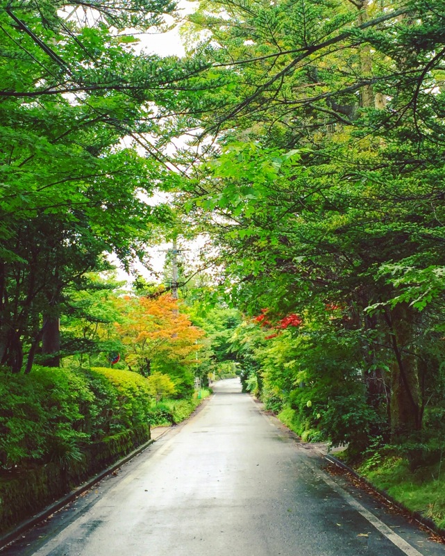 軽井沢の別荘地