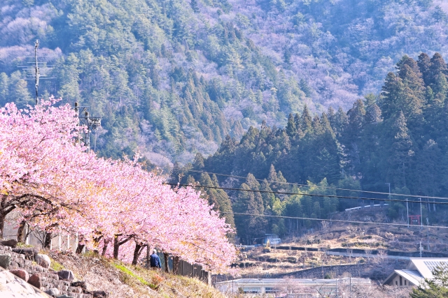 移住で人気の飯田市の特徴や魅力 メリット デメリットを紹介 長野県 信州への移住 注文住宅なら工房信州の家