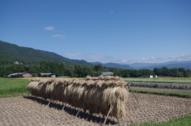 箕輪町の田園