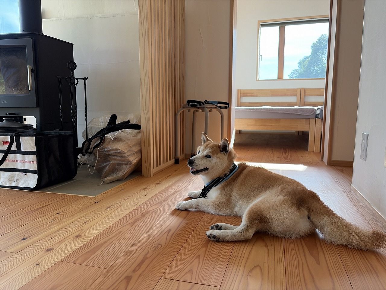 家の中でくつろぐ