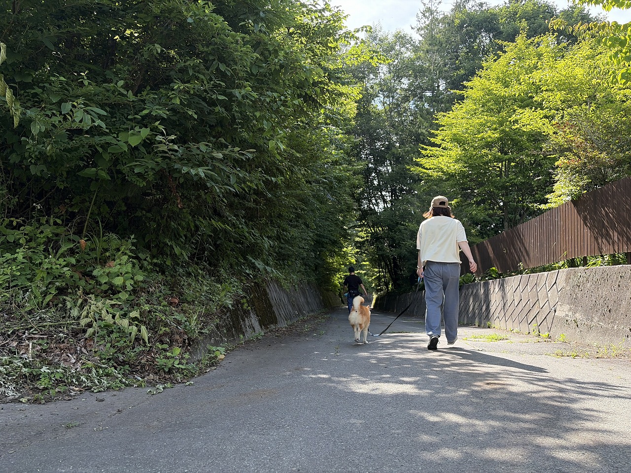 愛犬との散歩