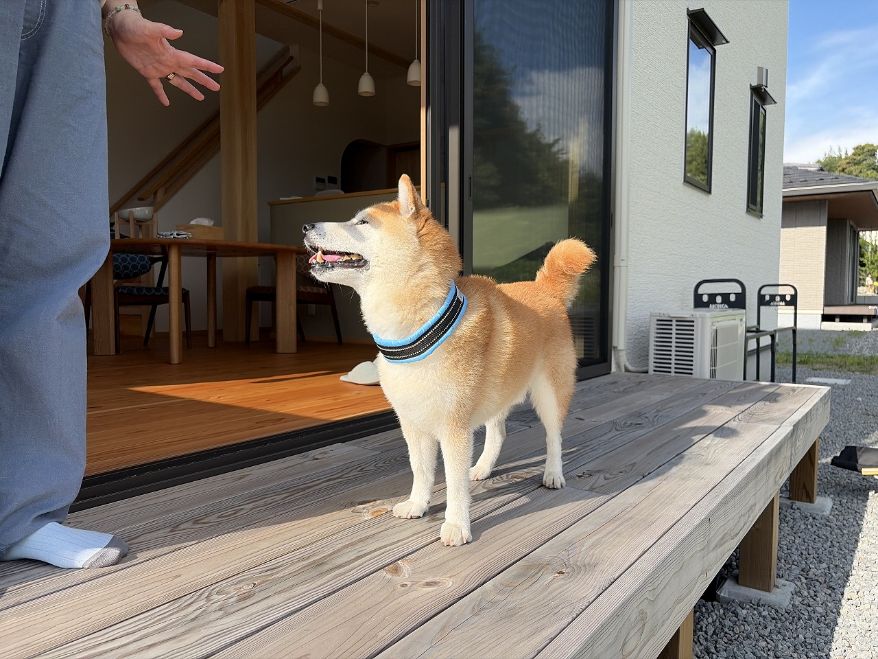 幸せそうなかりんとう君