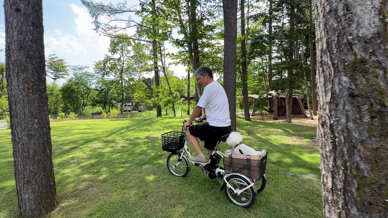 自転車で散歩