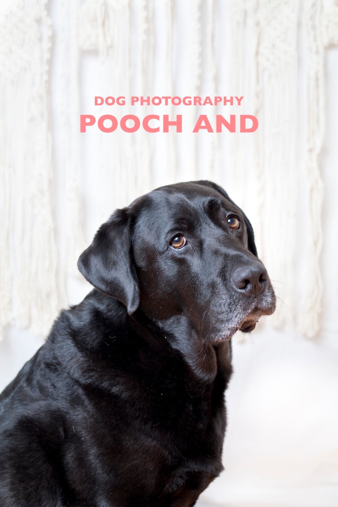poochand