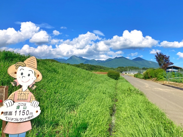 原村の夏の景色