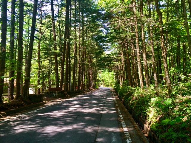 軽井沢別荘地内の道