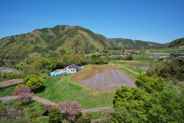 伊那の田園風景
