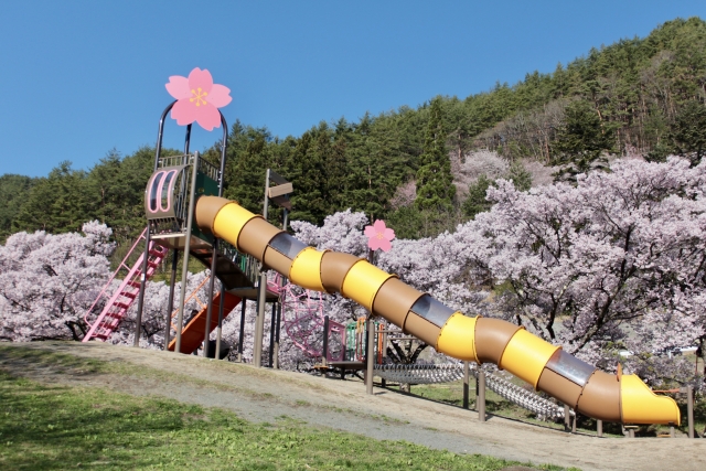 伊那の公園の滑り台
