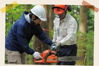 山師さんが木を倒す方向を見定め、伐採開始