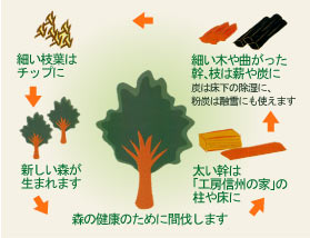 森につながる家づくり